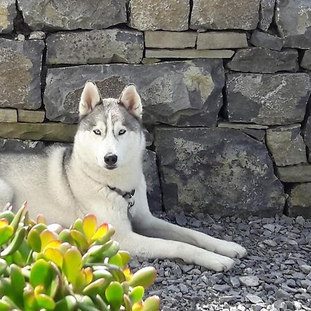 Cois Na Habhann Doolin Exteriör bild