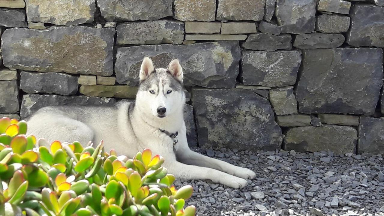 Cois Na Habhann Doolin Exteriör bild